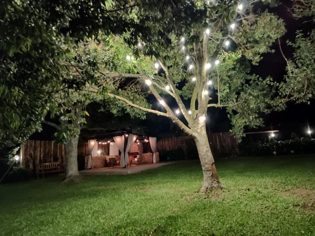 Pousada Do Salto Ventoso / Serra Gaucha Casa 1 法罗皮利亚 外观 照片